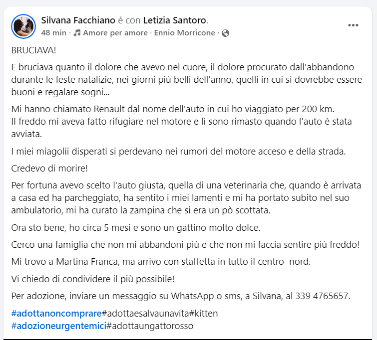 ATTENZIONE🆘🆘 🆘🆘Silvana ☎️3394765657🐈
facebook.com/reel/728176020…
ti penso mamma, spero di incontrarti presto.Renault  5 mesi ,si era rifugiato nel motore di una macchina, ora CERCA UNA FAMIGLIA PER SEMPRE  vi aspetta Martina Franca  #4voiceless