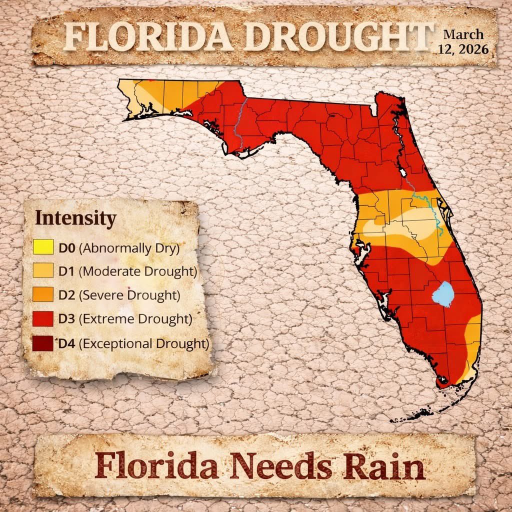 Greg Rule tweet media