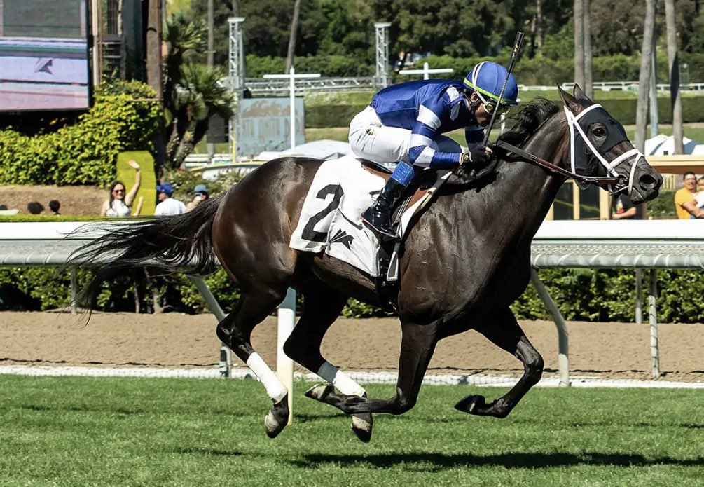 Stakes Winners 🏆 tweet media