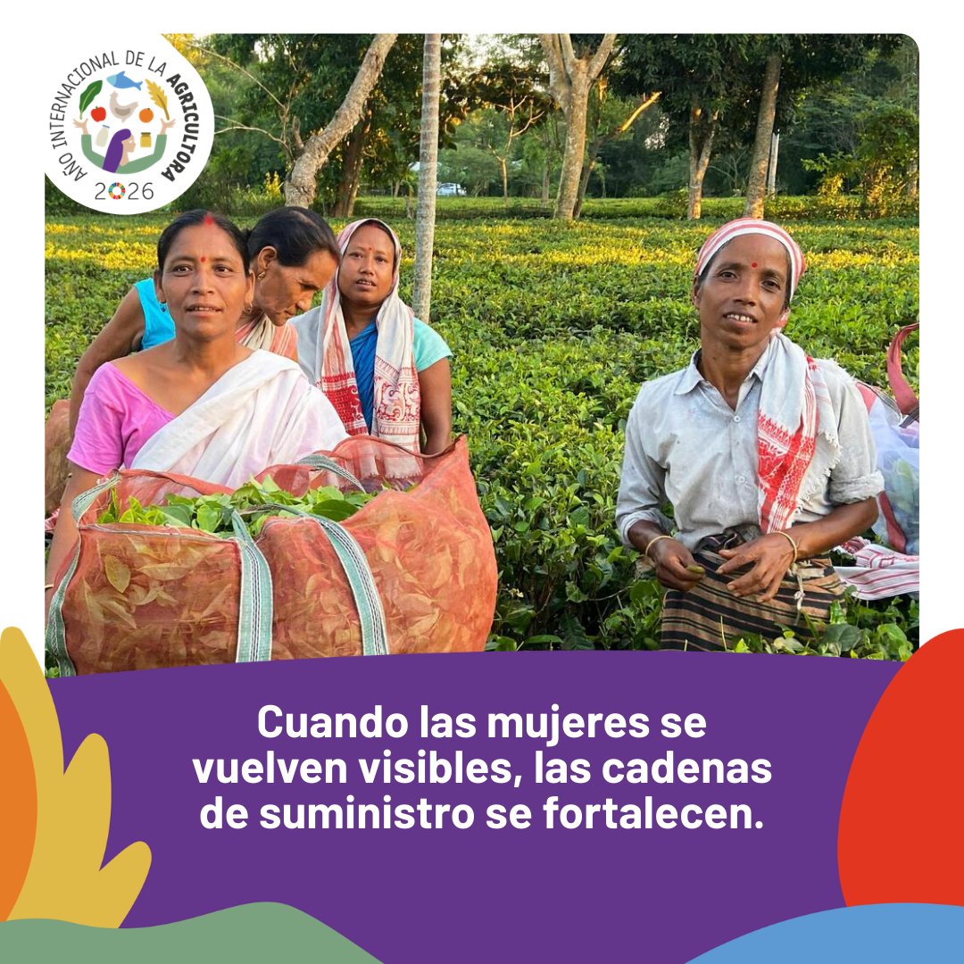 Alianza de Bioversity International y el CIAT tweet media