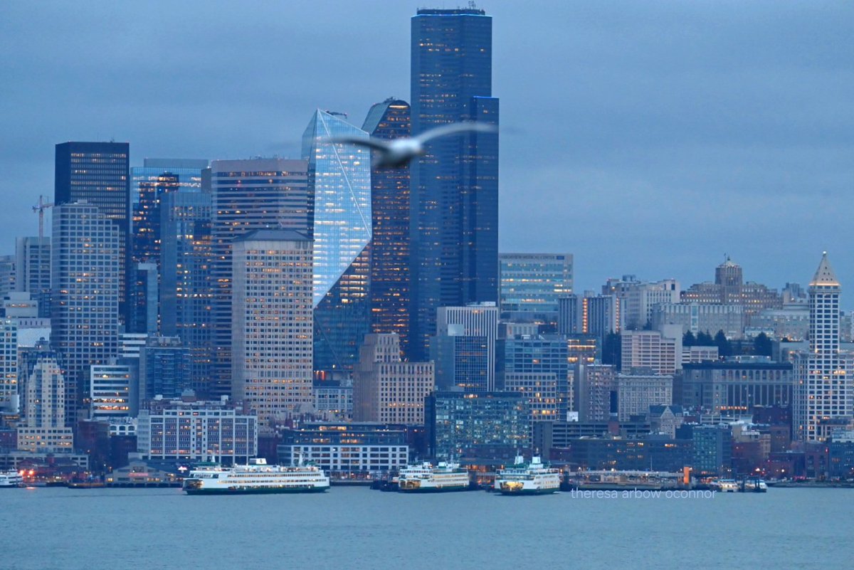 TheresaArbowOC's tweet image. Triple shot Thursday!  Cheers to coffee ferries and a calmer weather day ♡
#wawx #Seattle #coffeetalk #pnw 
@wsferries @SeattleWaterfnt