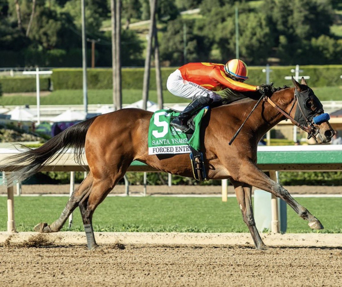 Stakes Winners 🏆 tweet media