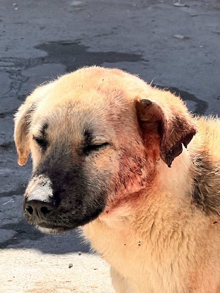 OnNumara tweet media