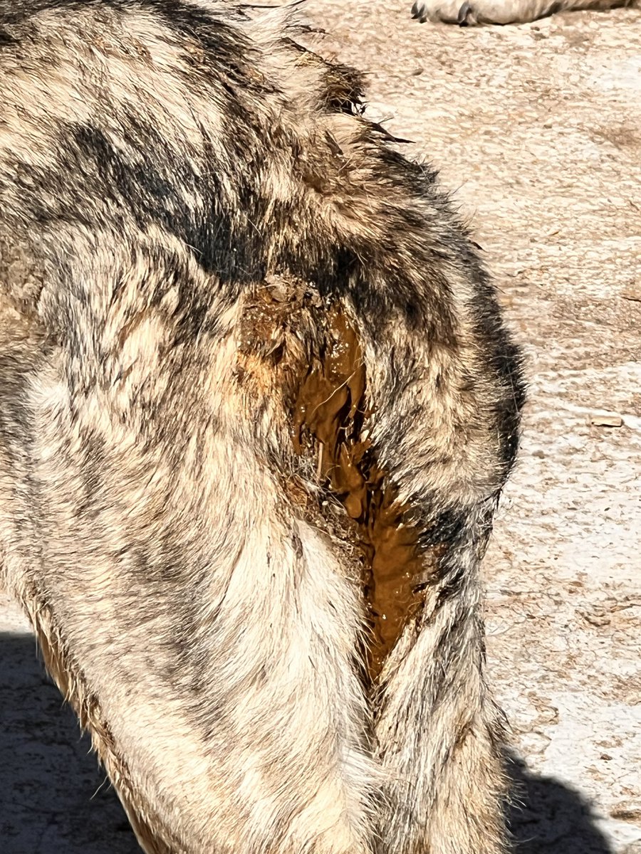 OnNumara tweet media