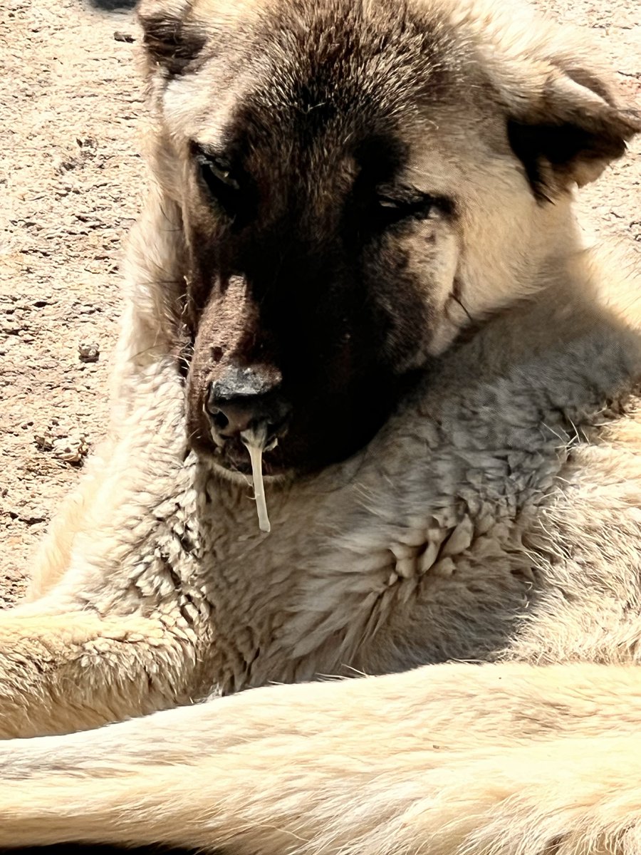 OnNumara tweet media