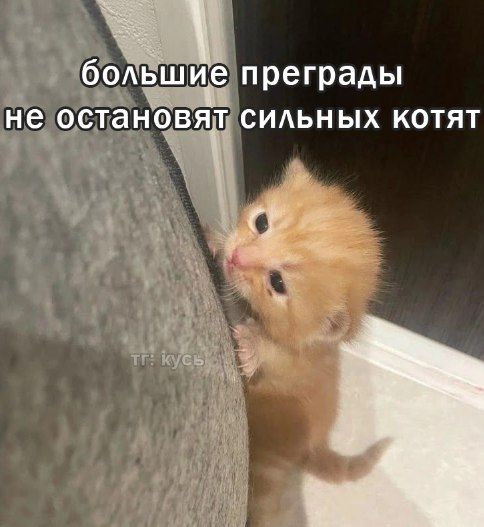 у вас одна беда ♡ tweet media