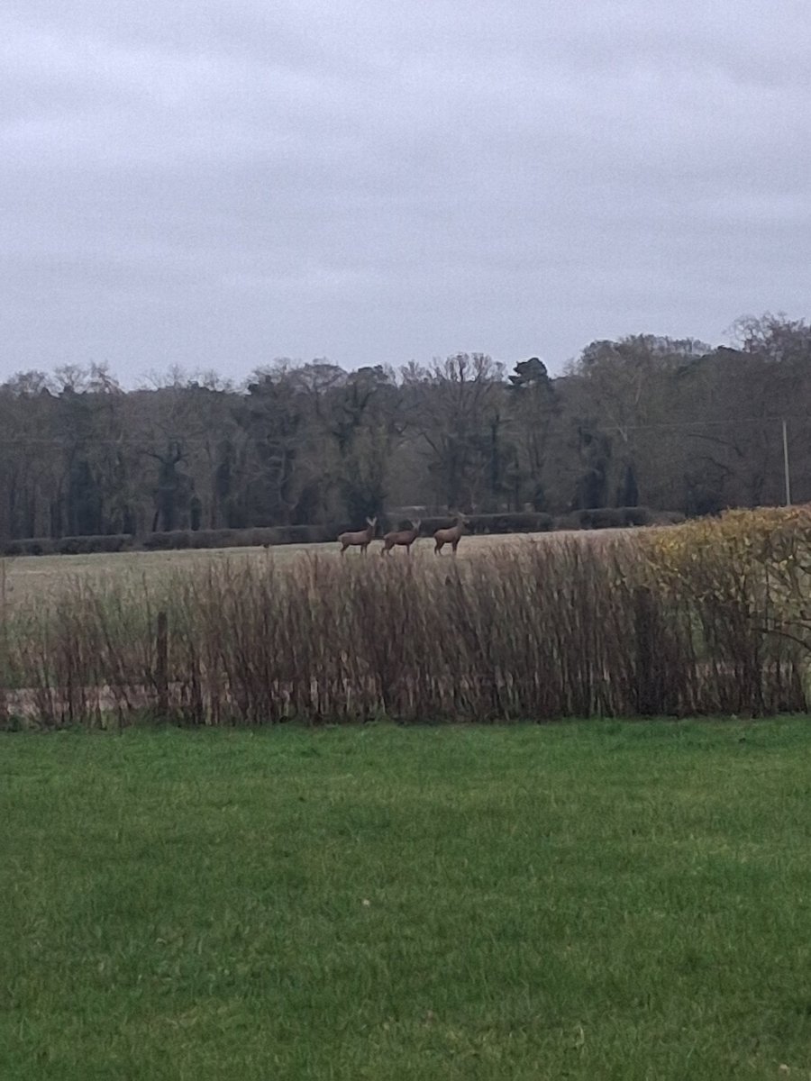 Phil Clifford tweet media