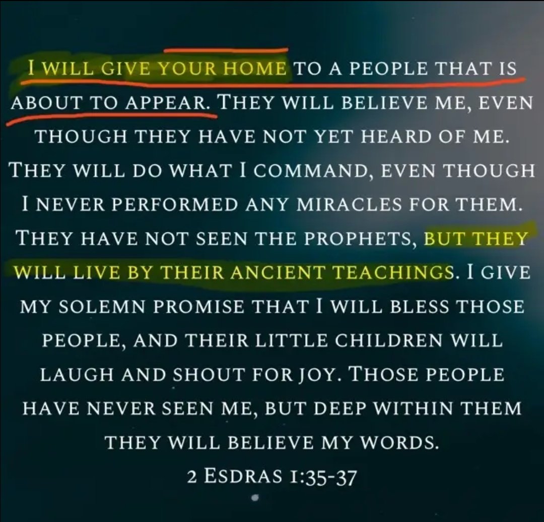 ₿ryan Pavl㉾vic ✝️⚒️☧ tweet media