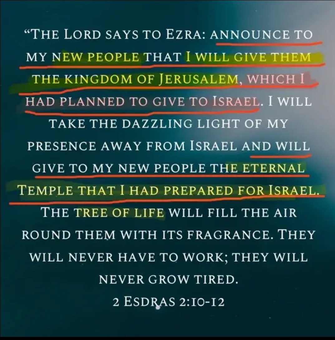 ₿ryan Pavl㉾vic ✝️⚒️☧ tweet media