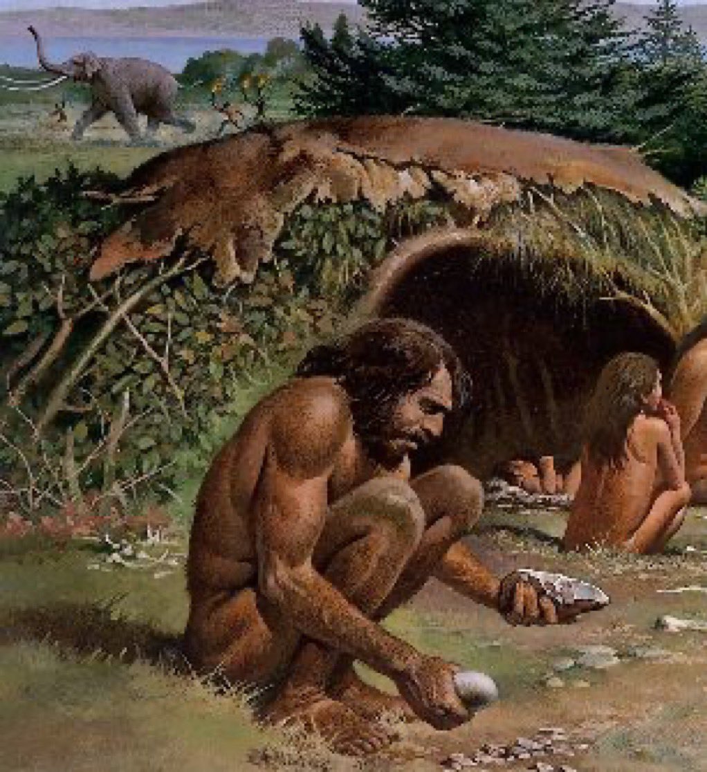 سلطان tweet media