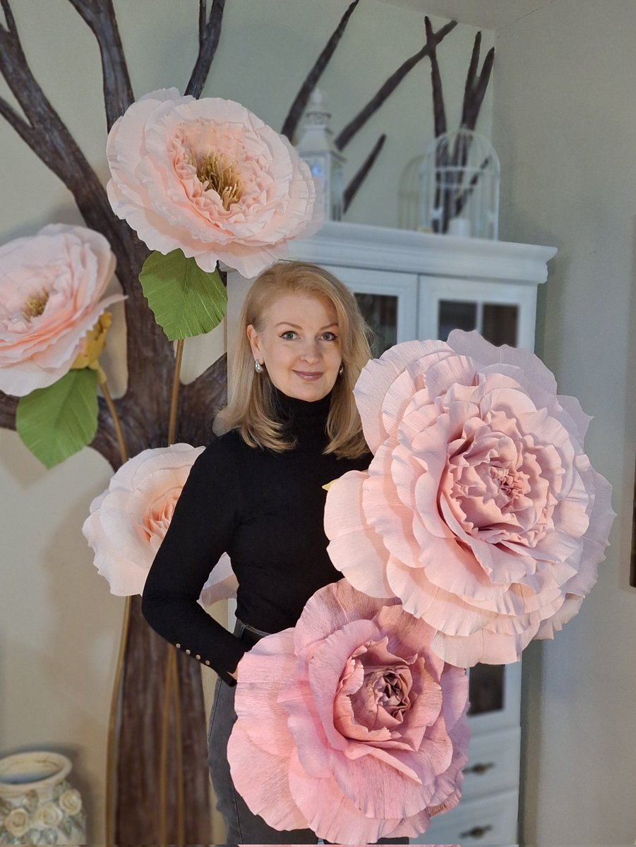 Branislava Dedic tweet media