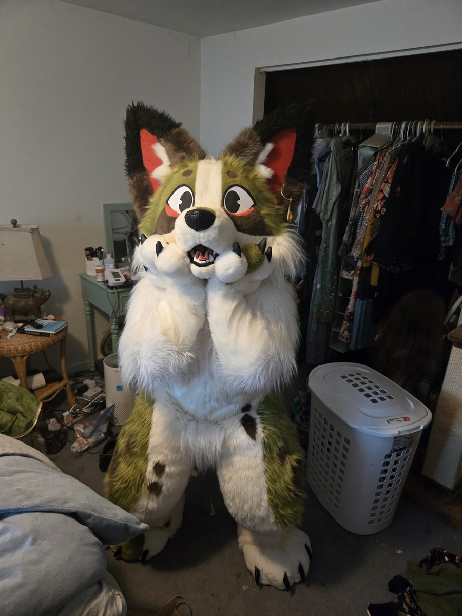 🕸Metro_Mutt🕸 tweet media