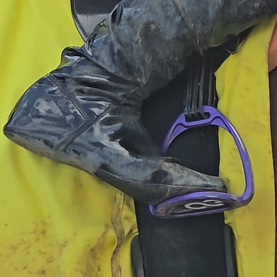 VideoHipico tweet media