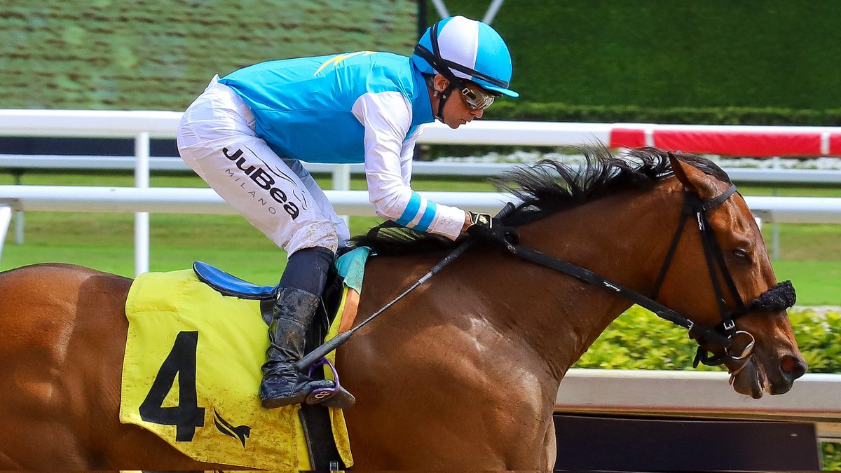 VideoHipico tweet media