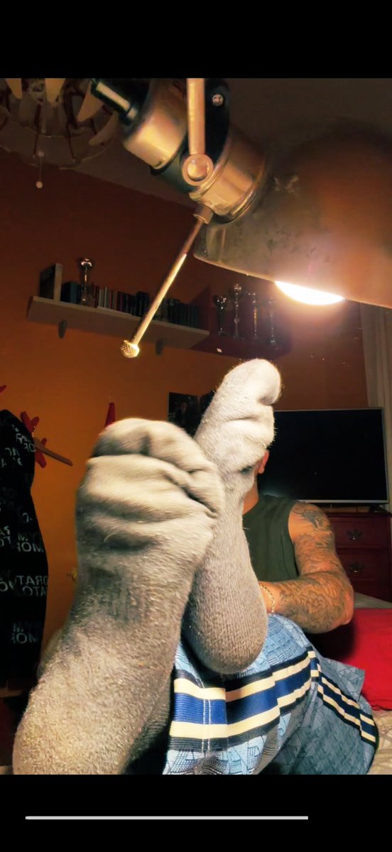 MasterMirko😘 tweet media