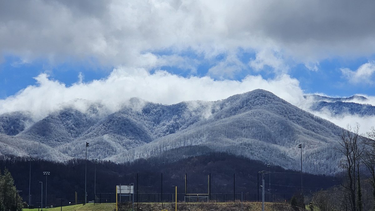 Pleas Proffitt tweet media