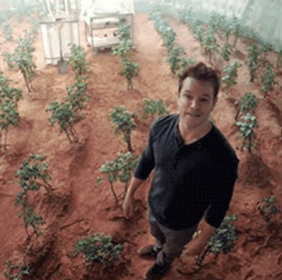 StockSwinger tweet media