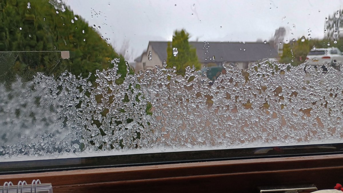 KatharineD tweet media