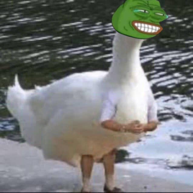 MEH TEETE tweet media