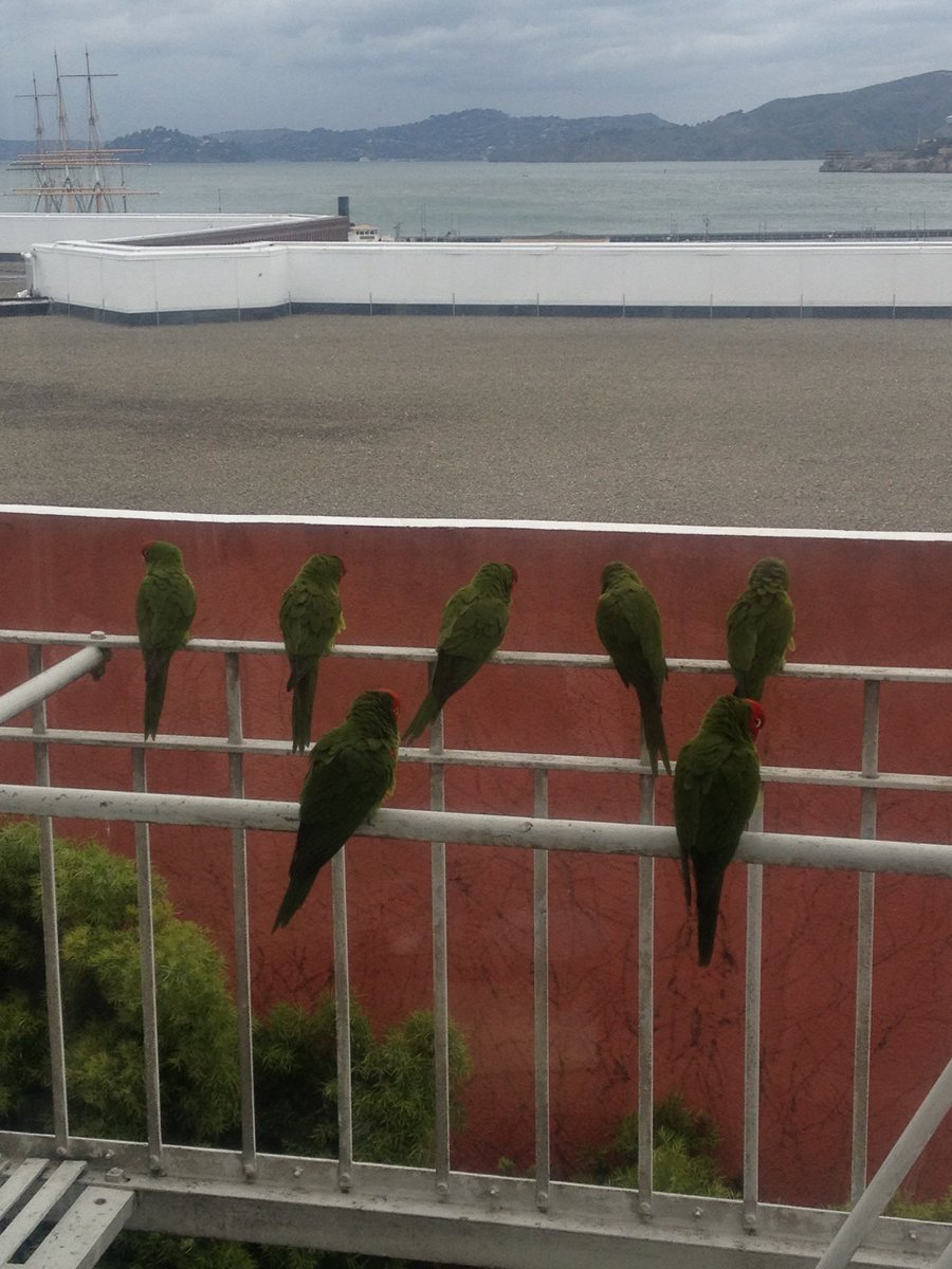 Nick Baum tweet media