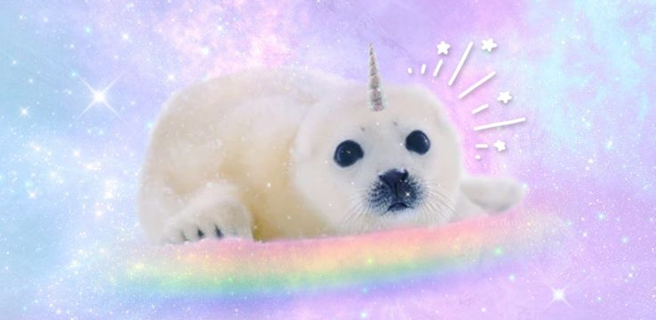 PolyNYAmor tweet media