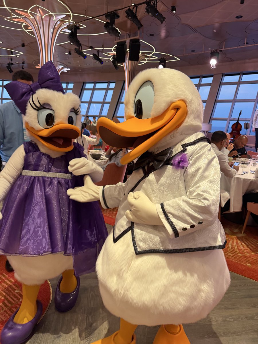 mickeynet007's tweet photo. ディズニー・アドベンチャーのローテーションダイニングの一つで「ハリウッドスポットライトクラブ」ではキャラクターが登場しました🩷　#MNDCL #ディズニー・アドベンチャー #Disneyadventure https://t.co/JkCAP3IBUu