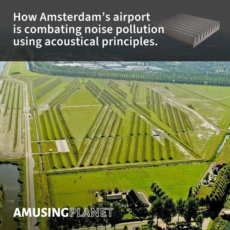 Neal O'Grady tweet media