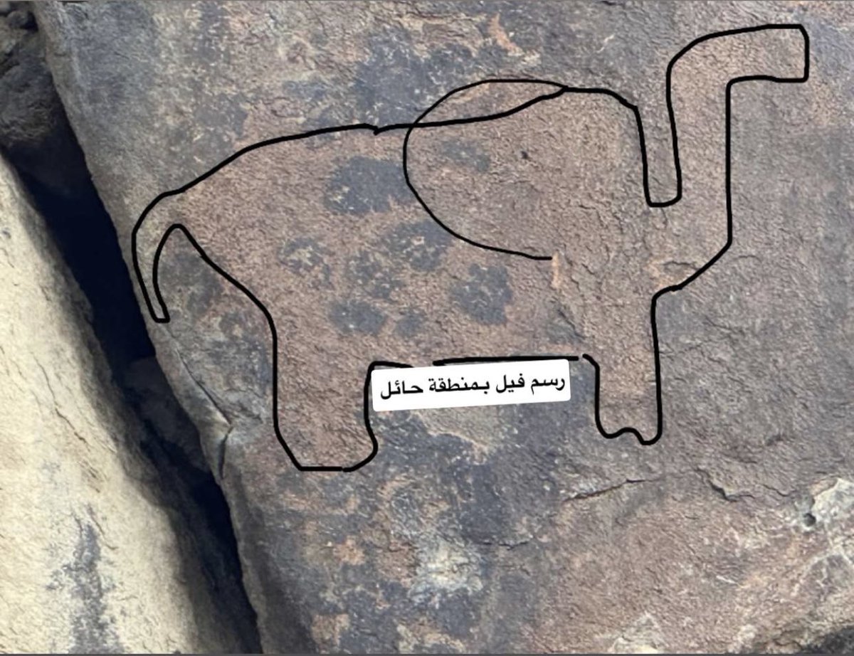ممدوح بن مزاوم الفاضل tweet media