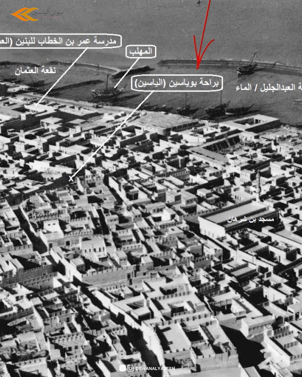 ديـوان الياسـين tweet media