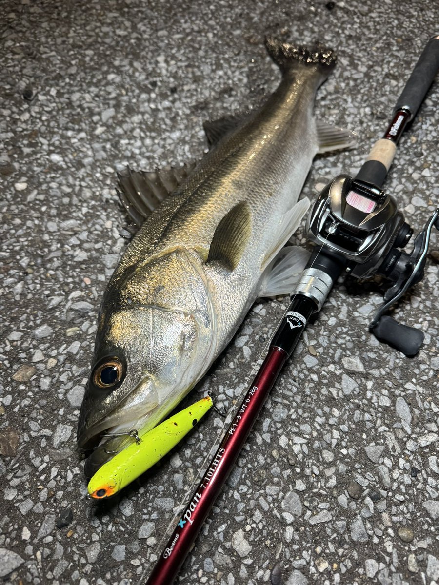 Akio Iizuka tweet media