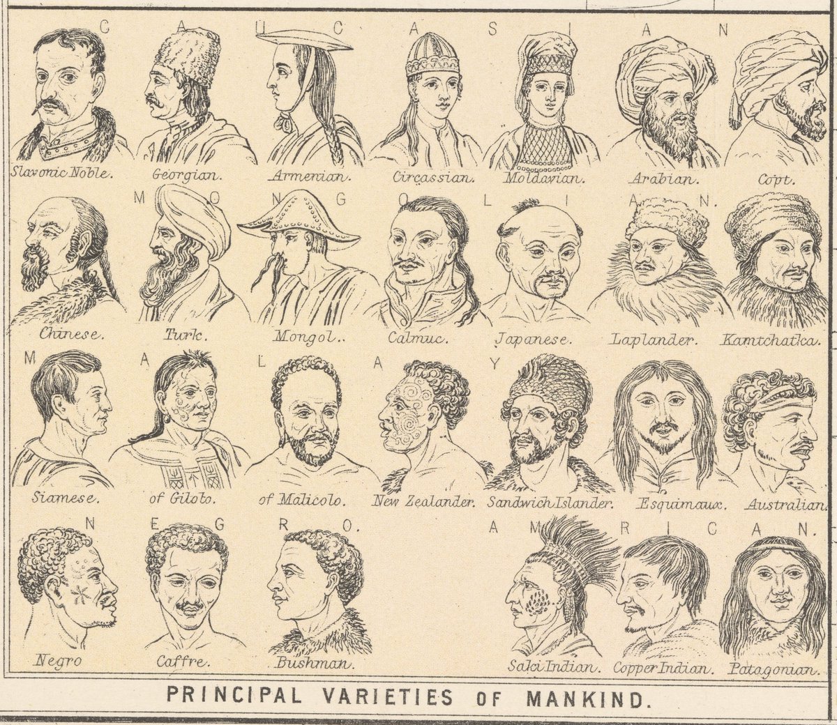 nihilismisok's tweet image. Adam &amp;amp; Charles Black's map titled,''Ethnological Chart of the World Showing the Distribution and Varieties of the Human Race'',1876.

#Circassian