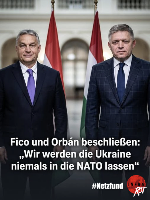 InfraRot _Medien tweet media