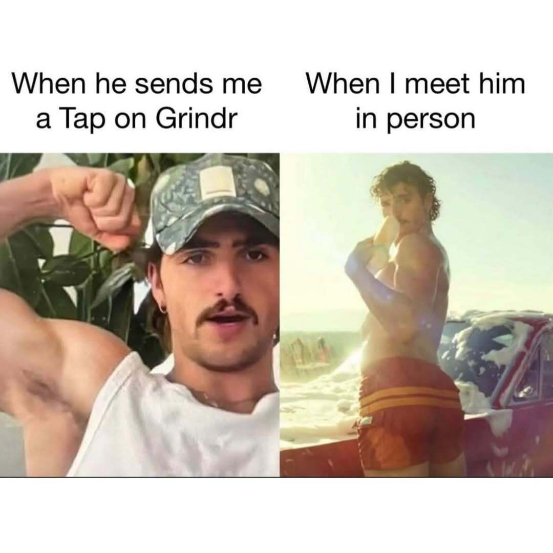 Fleshbot Gay tweet media