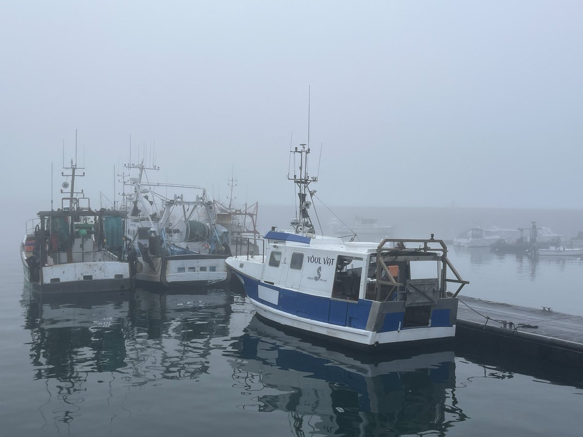 Isabelle Le Callennec tweet media