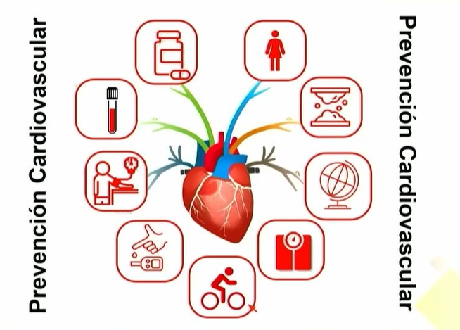 Soc Esp Cardiología tweet media