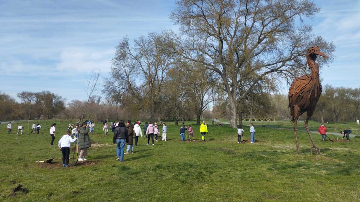 David Mingo Pérez tweet media