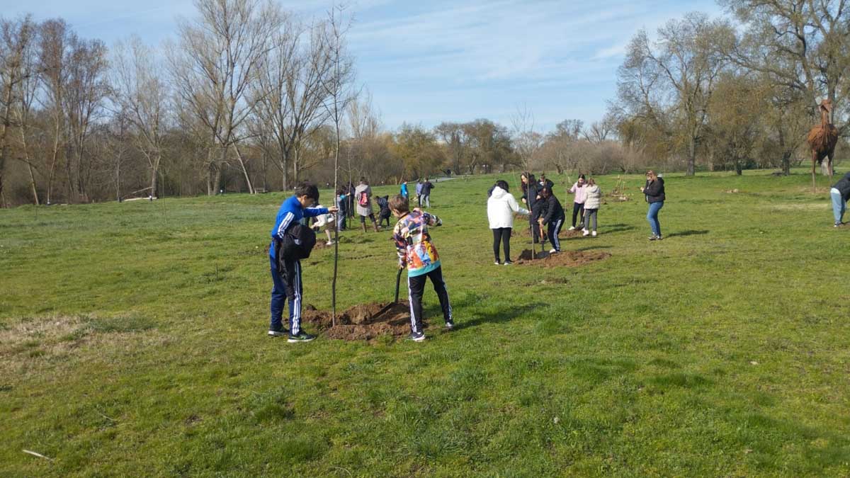 David Mingo Pérez tweet media