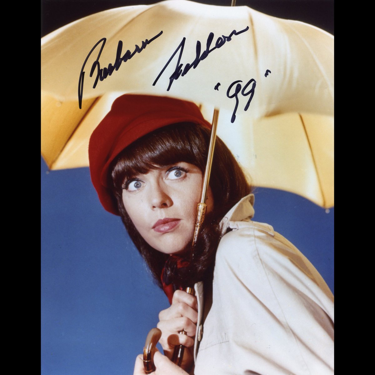 Russ_Graves's tweet photo. Born March 12, 1933 in Bethel Park, Pennsylvania - Happy Birthday to Barbara Feldon: fashion model and actress, ‘99’ on the sitcom “Get Smart” (1965 - 1970) ⭐️ * 8 x 10 photo from “Get Smart” signed by Barbara Feldon is from my collection. 📺 #BarbaraFeldon #Agent99 #GetSmart https://t.co/kQULDqEU7e