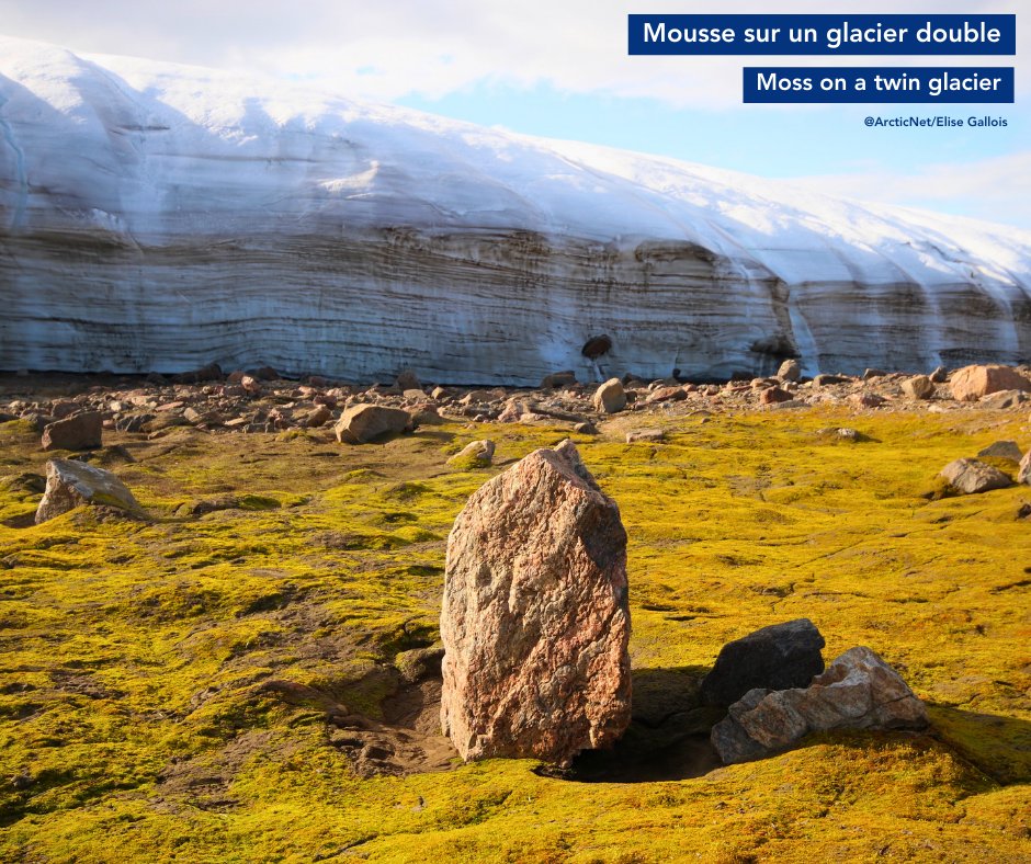 ArcticNet tweet media