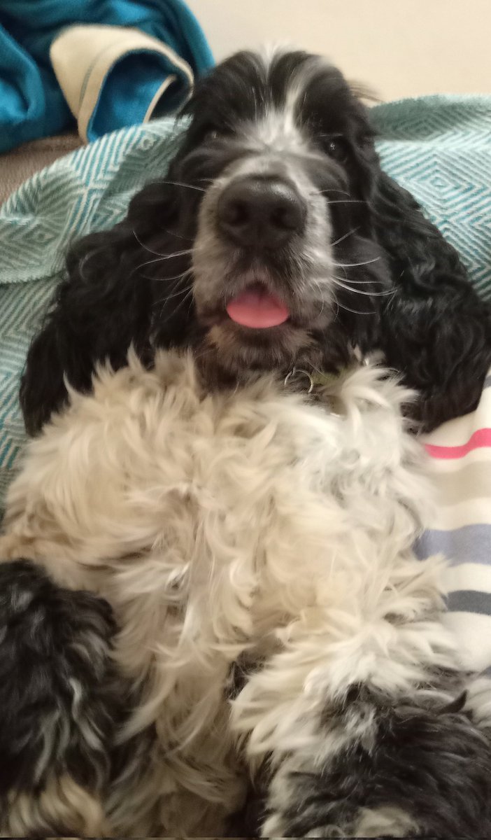 Carolyn Norris tweet media