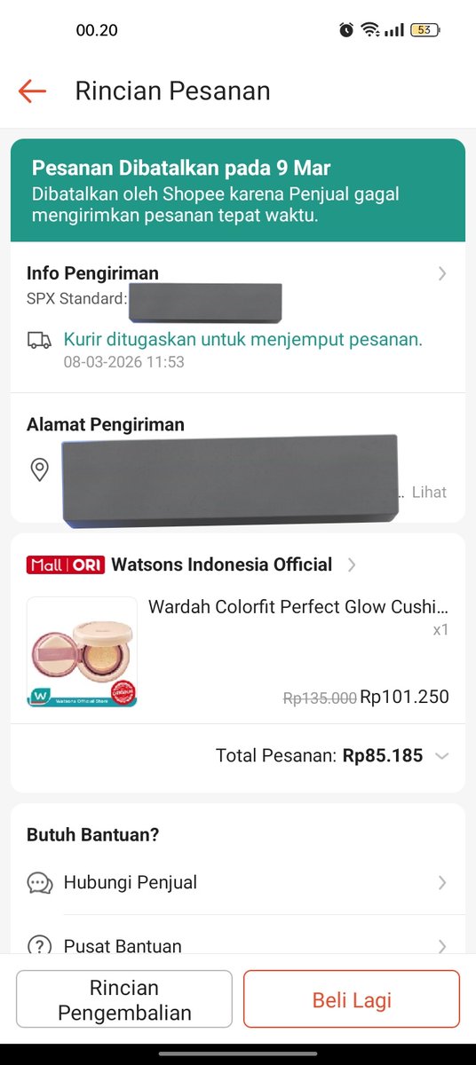 panpanbear tweet media