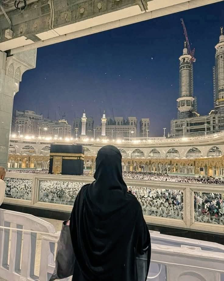 زَهْراء tweet media