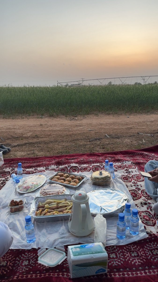 الوليد tweet media