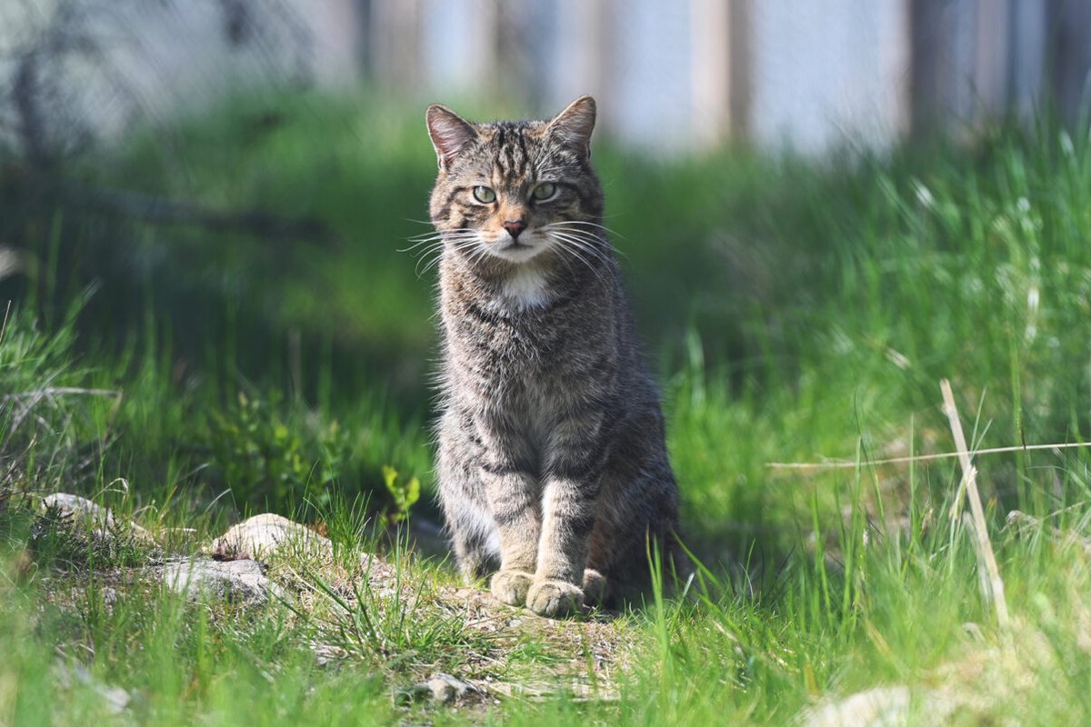 OutTake GM tweet media