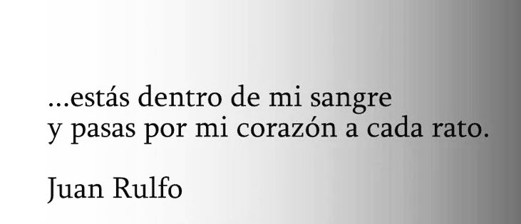 ❦ tweet media