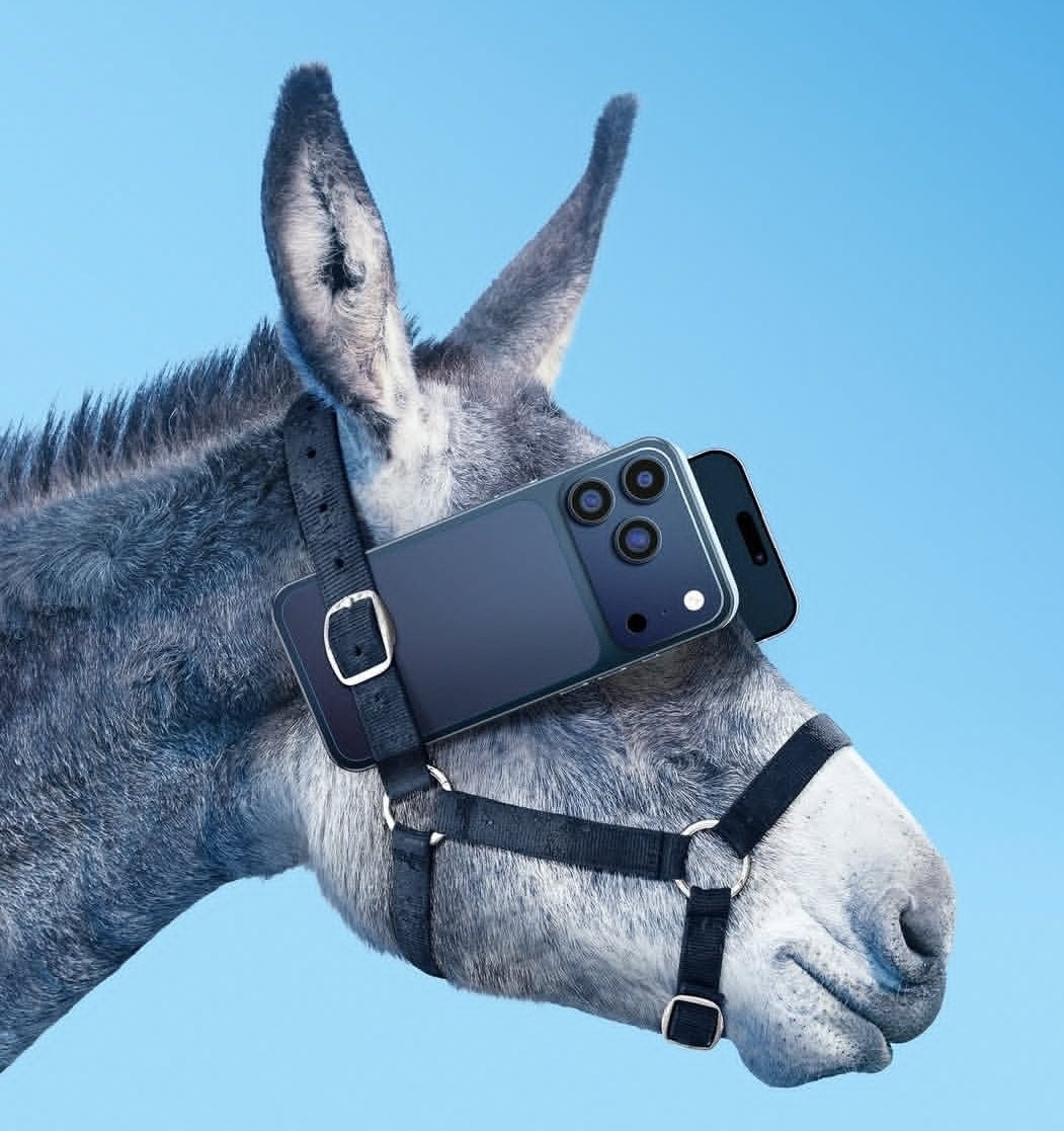 Pedro Ronchi tweet media