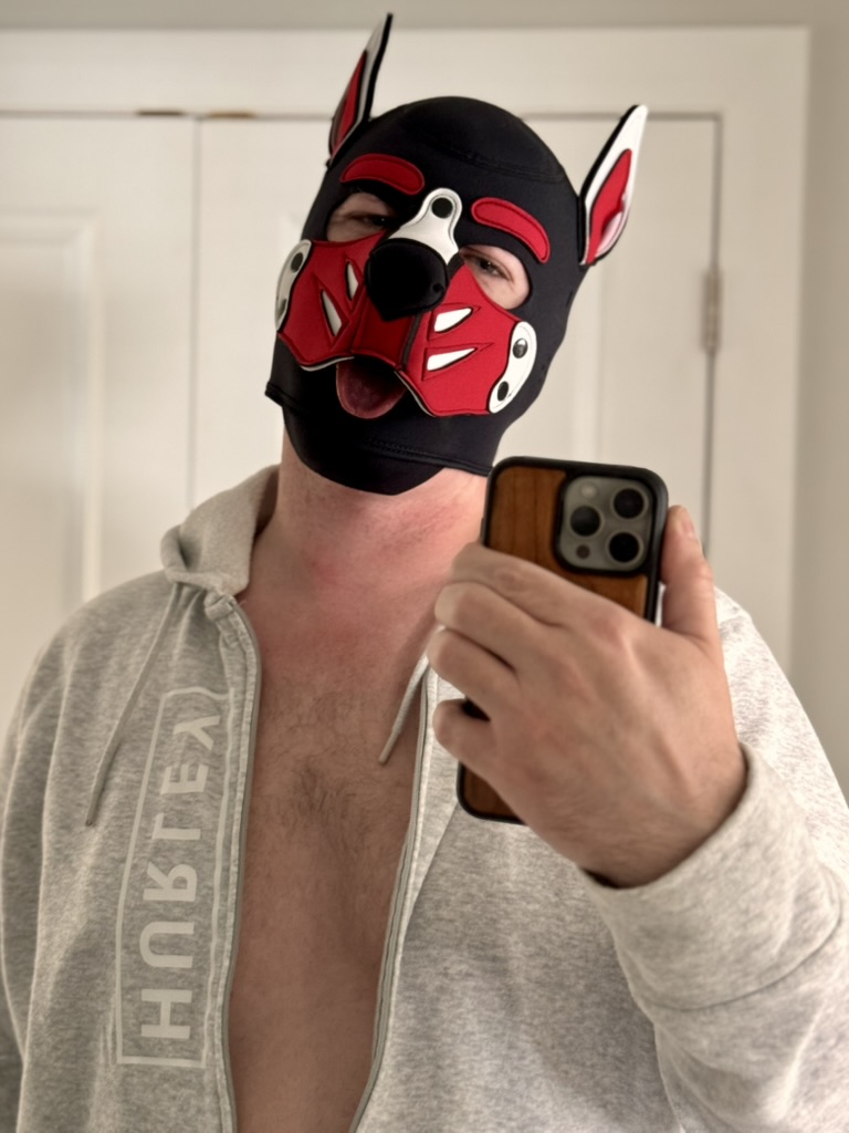 draenubis's tweet photo. The bitch is back!  AWROOOOOOOO  #GayPup #PupPlay #NaughtyDog #Gay #HumanPup #GoodBoy #AlphaDog

https://t.co/TaPsMHJrW4 https://t.co/Hefg3xlJa3