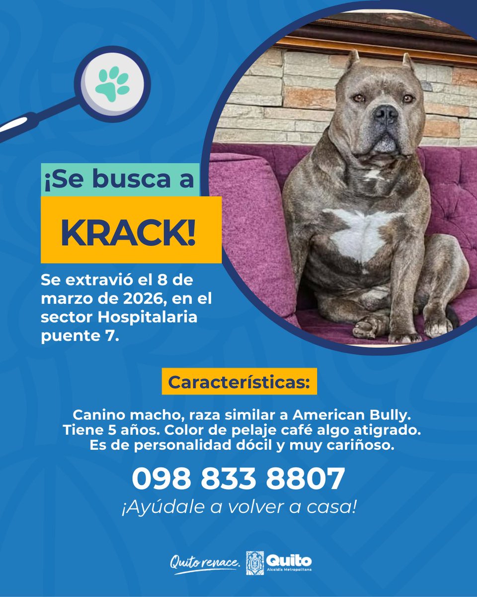 Unidad de Bienestar Animal Quito tweet media