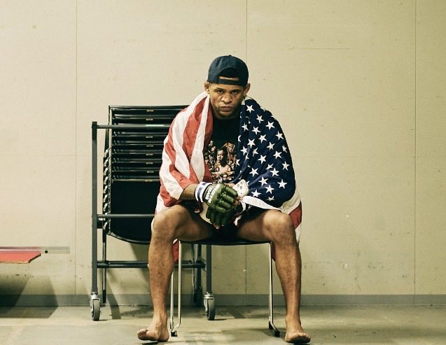 Patchy Mix tweet media