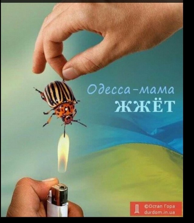 Gomer Simpson 🇺🇦🇮🇱 tweet media